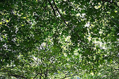 《决胜点 网球锦标赛》发布新预告 游戏将于7月7日发行