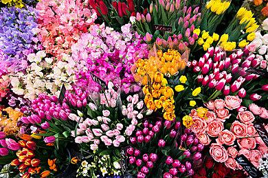 《信长之野望 新生 with 威力加强版》事件合战情报透露