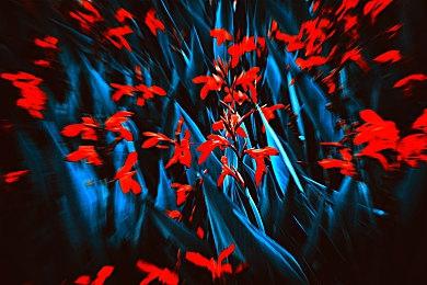 《哥谭骑士》又恢复了D加密技术